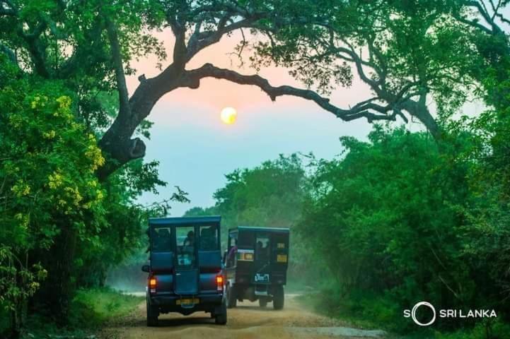 Kottamba Yala Stay & Safari Тіссамахарама Екстер'єр фото