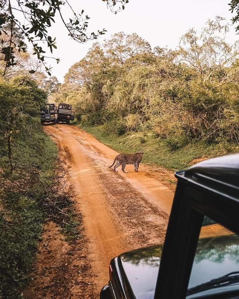 Kottamba Yala Stay & Safari Тіссамахарама Екстер'єр фото